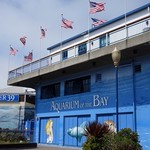 Boudin Bakery & Cafe - 