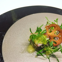 TACUBO - 