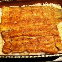 五代目 野田岩 麻布飯倉本店 - 
