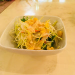 アクバル - セットのサラダ