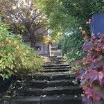 エグ・ヴィヴ - 