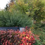 エグ・ヴィヴ - 