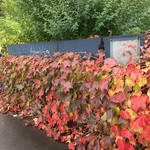 エグ・ヴィヴ - 