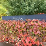 エグ・ヴィヴ - 