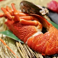 焼肉トラジ 大阪ヒルトンプラザ ウエスト店 - れっきとしたロブスター