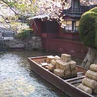 創作中華 一之船入 - 桜の季節が美しい