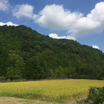 Kamaya - 秋の神山
