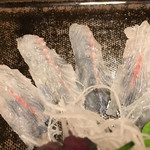 鰻はし本 - うな刺し