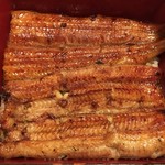 鰻はし本 - 鰻重