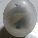 ラ・パティスリー・ベルジュ - ごまプリン・たまご型の容器が可愛い☆