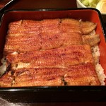 横浜野田岩 - 楓。御飯がほぼ見えなくなるサイズ