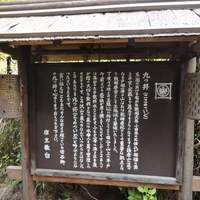 九つ井 本店 - 