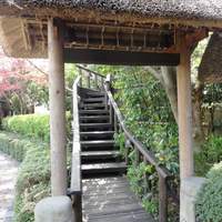 九つ井 本店 - 