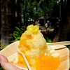 Island Vintage Shave Ice