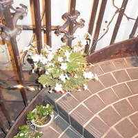 かえりやま - 階段の脇にも配慮が