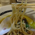 Sagamihara 欅 - 