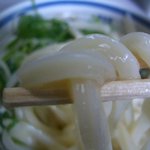 谷川米穀店 - 冷の大（生醤油・ネギ・青唐辛子漬け）麺アップ