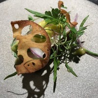 TACUBO - 