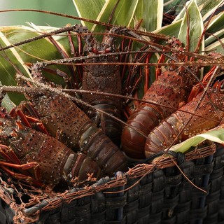 海女小屋体験施設 さとうみ庵_2