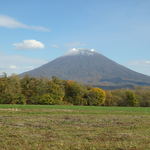 マンドリアーノ - 店内からの羊蹄山