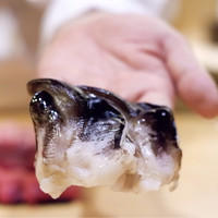 鮨 しゅん輔 阿佐ヶ谷 - 