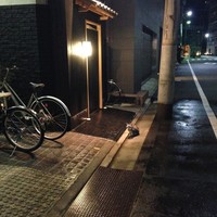 日本橋蛎殻町 すぎた - かわいい子猫ちゅわんがお出迎え♪