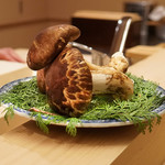 Fukuda - 雲南省の巨大松茸