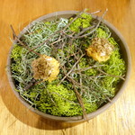 ドンブラボー - フォアグラチョコポテト