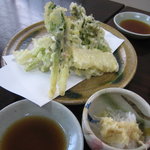 専心庵 - 山菜天ぷら（タラの芽、ウド、ふきのとう、行者にんにく）