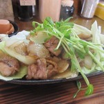 Aozora Shokudou - 親鶏のもも肉は塩コショウで玉葱と一緒に炒められてキャベツの乗せられアツアツの状態で提供されました。