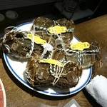 最上級 陽澄湖産の上海蟹