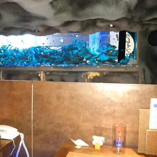 アクアリウムレストラン サプライズ_2