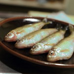 うを徳 - 琵琶湖のもろこ　（調理前）