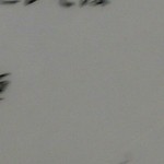 中国レストラン 雪園 - 