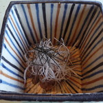 徳山鮓 - 2011年4月