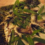 徳山鮓 - 2011年8月