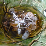 徳山鮓 - 2014年1月