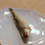 うを徳 - 琵琶湖のもろこ、鹽燒（しほやき）