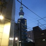 焼鳥 おみ乃 - お店に入る前のツリー