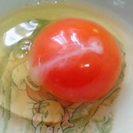 Toyonchino Tamago - 