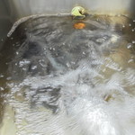 たじま - 鉱泉の生け簀