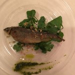 マジカメンテ ビバッコ - 