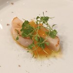 軽く炙った帆立、ミカン、コリアンダー