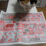 ヤオヨシ - チラシ