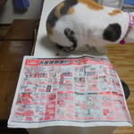 ヤオヨシ - チラシ