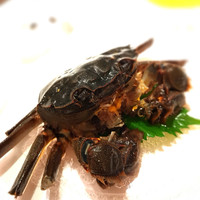 文菜華 - 