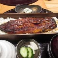 うなぎ 四代目 菊川 グローバルゲート店 - 一本重