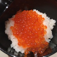 吉星 - 