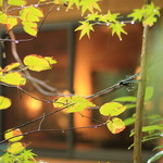 オーベルジュあかだま - レストランの窓