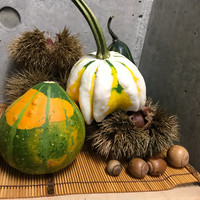 日本料理 太月 - 秋の飾り